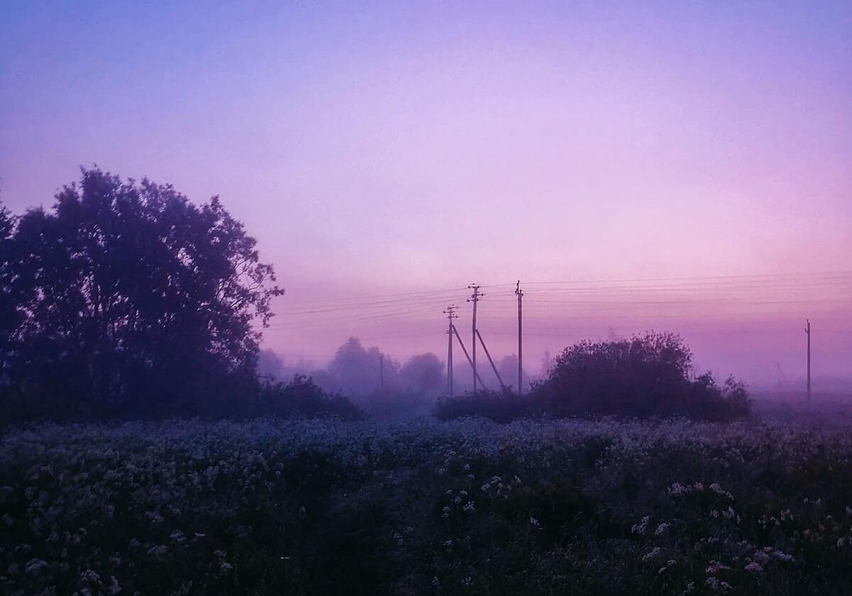 这波太离谱了，每日大赛又上新了：最值得收藏的官网，一口气看完才懂