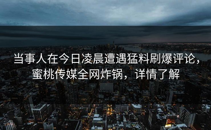 当事人在今日凌晨遭遇猛料刷爆评论，蜜桃传媒全网炸锅，详情了解