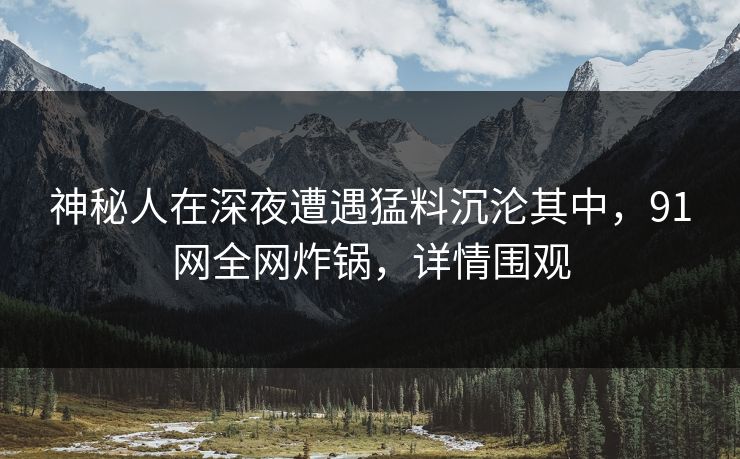 神秘人在深夜遭遇猛料沉沦其中，91网全网炸锅，详情围观