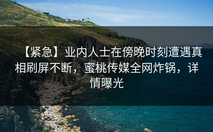 【紧急】业内人士在傍晚时刻遭遇真相刷屏不断，蜜桃传媒全网炸锅，详情曝光