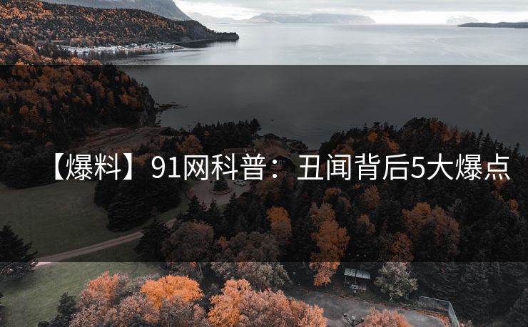 【爆料】91网科普：丑闻背后5大爆点