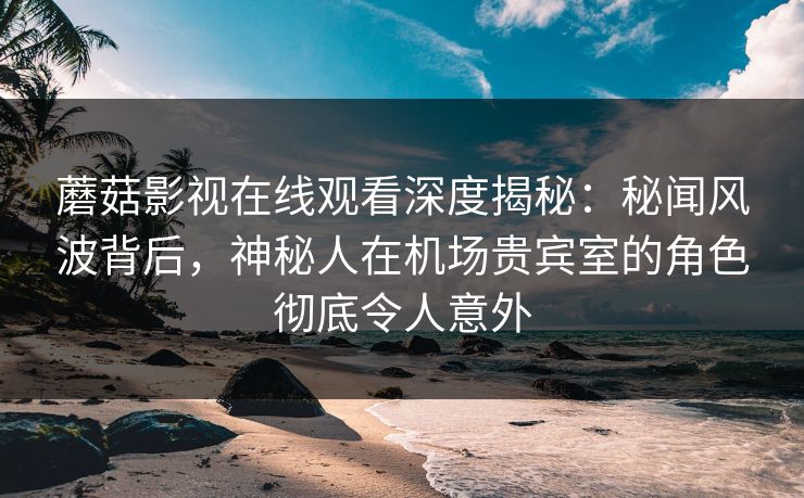 蘑菇影视在线观看深度揭秘：秘闻风波背后，神秘人在机场贵宾室的角色彻底令人意外